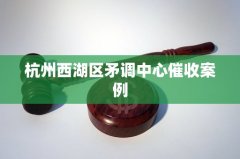 杭州西湖区矛调中心催收